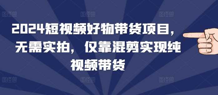 2024短视频好物带货项目，无需实拍，仅靠混剪实现纯视频带货-温馨分享网