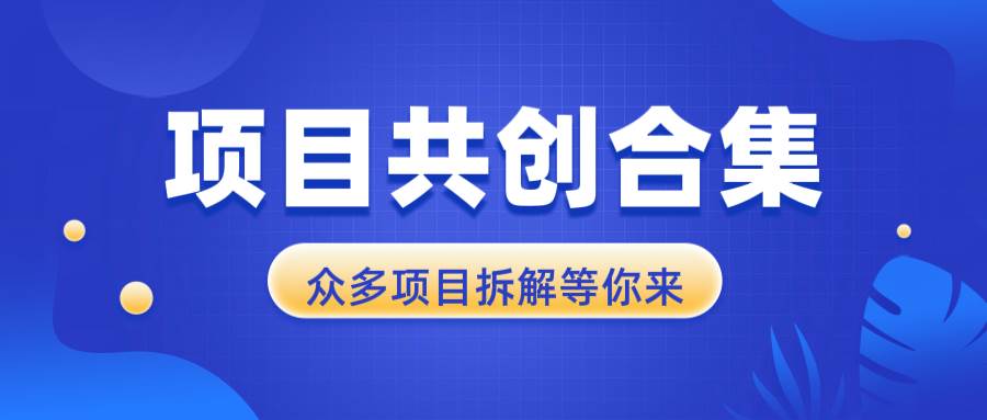 项目共创合集，从0-1全过程拆解，让你迅速找到适合自已的项目-温馨分享网