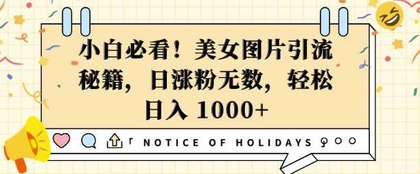 小白必看，美女图片引流秘籍，日涨粉无数，轻松日入几张【揭秘】-温馨分享网