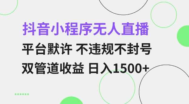 抖音小程序无人直播 平台默许 不违规不封号 双管道收益 日入多张 小白也能轻松操作【仅揭秘】-温馨分享网