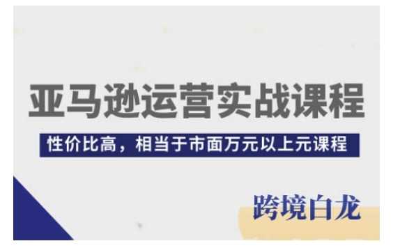 亚马逊运营实战课程，亚马逊从入门到精通，性价比高，相当于市面万元以上元课程-温馨分享网