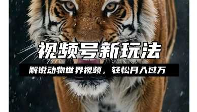 利用动物世界解说视频，赚分成计划收益，轻松月入过W，操作简单【揭秘】-温馨分享网
