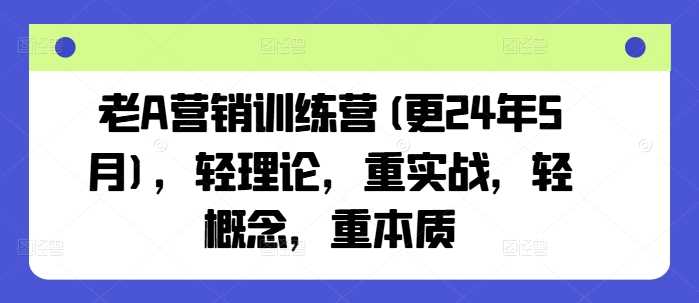 老A营销训练营(更24年12月)，轻理论，重实战，轻概念，重本质-温馨分享网