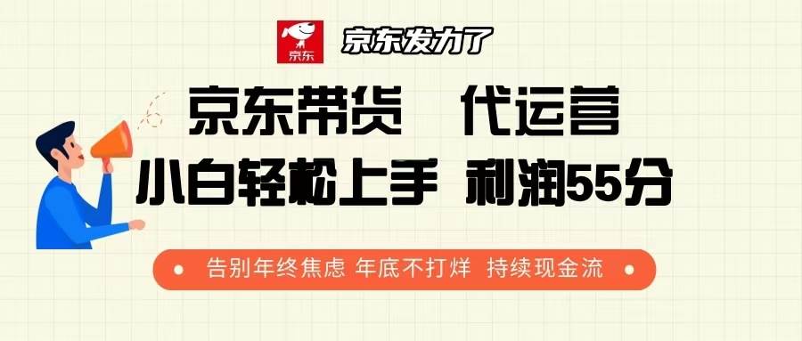 京东带货 代运营 利润55分 告别年终焦虑 年底不打烊 持续现金流-温馨分享网