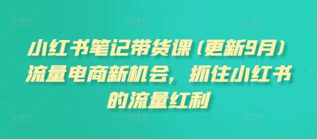小红书笔记带货课(更新12月)流量电商新机会，抓住小红书的流量红利-温馨分享网