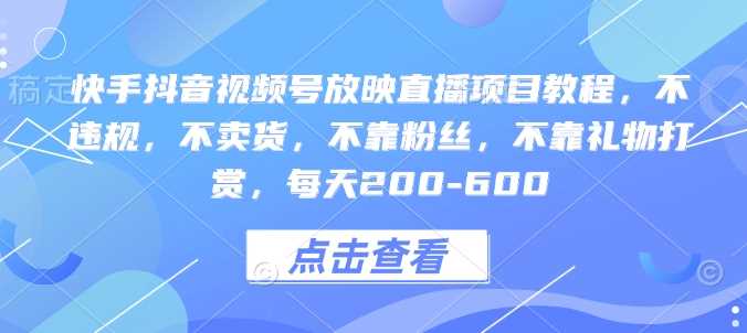 快手抖音视频号放映直播项目教程，不违规，不卖货，不靠粉丝，不靠礼物打赏，每天200-600-温馨分享网
