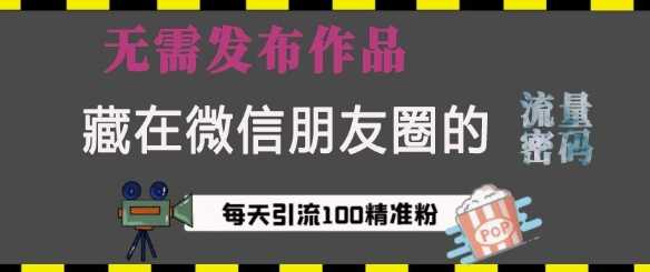 藏在微信朋友圈的流量密码，无需发布作品，单日引流100+精准创业粉【揭秘】-温馨分享网
