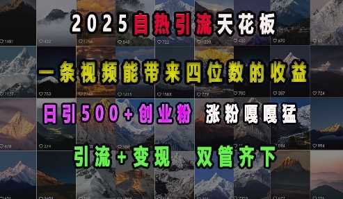 2025自热引流天花板，一条视频能带来四位数的收益，引流+变现双管齐下，日引500+创业粉，涨粉嘎嘎猛-温馨分享网