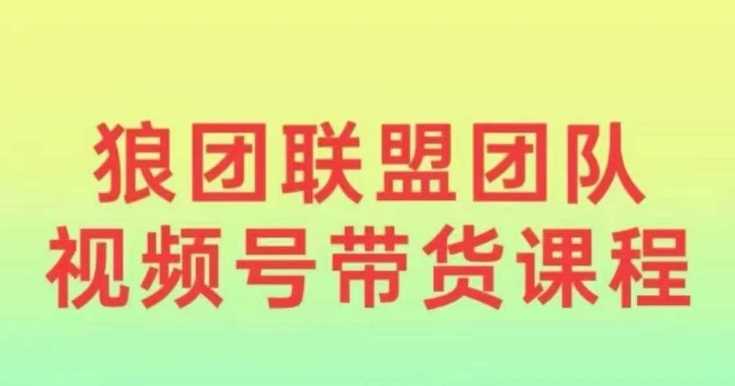 狼团联盟2024视频号带货，0基础小白快速入局视频号-温馨分享网