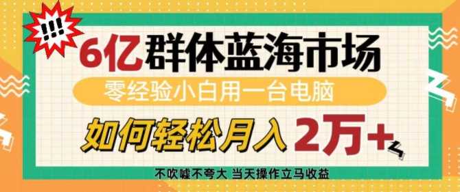 6亿群体蓝海市场，零经验小白用一台电脑，如何轻松月入过w【揭秘】-温馨分享网