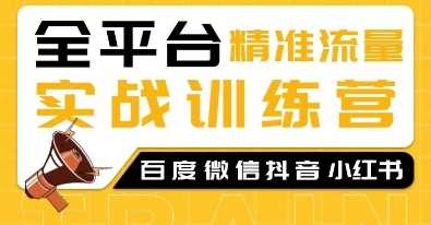 全平台精准流量实战训练营，百度微信抖音小红书SEO引流教程-温馨分享网