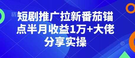 短剧推广拉新番茄锚点半月收益1万+大佬分享实操-温馨分享网