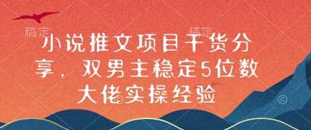 小说推文项目干货分享，双男主稳定5位数大佬实操经验-温馨分享网
