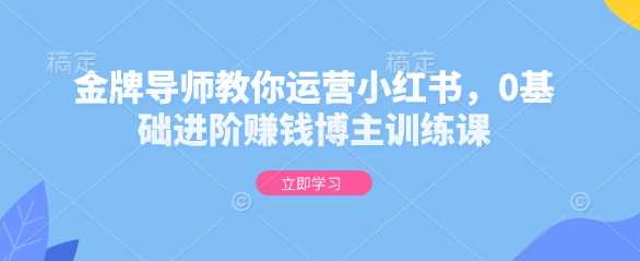 金牌导师教你运营小红书，0基础进阶赚钱博主训练课-温馨分享网