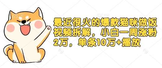最近很火的爆款猫咪做饭视频拆解，小白一周涨粉2万，单条10万+播放(附保姆级教程)-温馨分享网