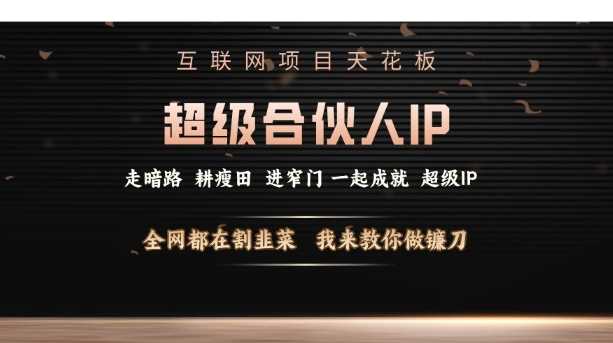互联网项目天花板，超级合伙人IP，全网都在割韭菜，我来教你做镰刀【仅揭秘】-温馨分享网