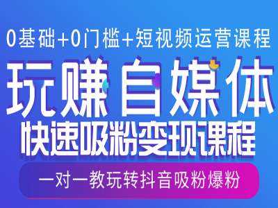 0基础+0门槛+短视频运营课程，玩赚自媒体快速吸粉变现课程，一对一教玩转抖音吸粉爆粉-温馨分享网
