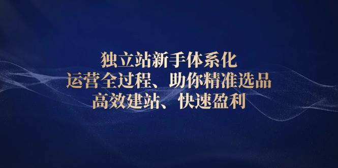 独立站新手体系化 运营全过程，助你精准选品、高效建站、快速盈利-温馨分享网