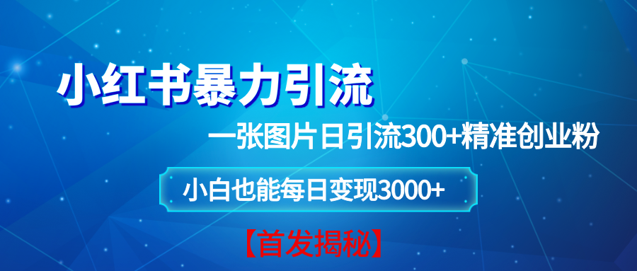 小红书暴力引流法，一张图片日引 300+精准创业粉，每日稳定变现 3000+【揭秘】-温馨分享网