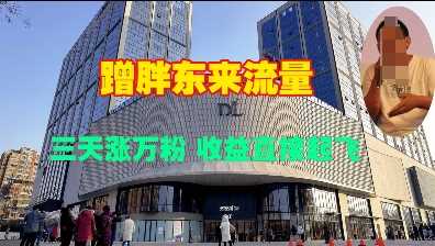蹭胖东来流量，三天涨万粉，收益直接起飞-温馨分享网