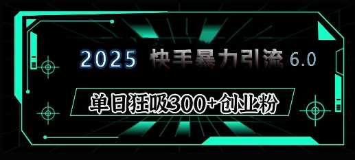 2025年快手6.0保姆级教程震撼来袭，单日狂吸300+精准创业粉-温馨分享网
