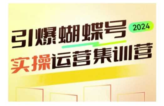 引爆蝴蝶号实操运营，助力你深度掌握蝴蝶号运营，实现高效实操，开启流量变现之路-温馨分享网