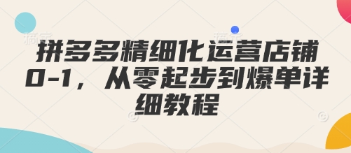 拼多多精细化运营店铺0-1，从零起步到爆单详细教程-温馨分享网