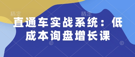 直通车实战系统：低成本询盘增长课，让个人通过技能实现升职加薪，让企业低成本获客，订单源源不断-温馨分享网