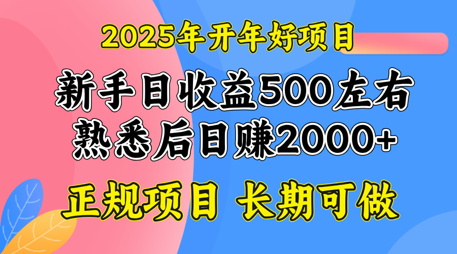 2025开年好项目，单号日收益2000左右-温馨分享网