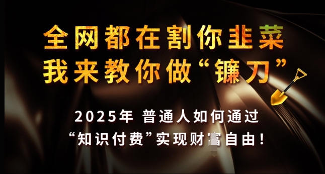 全网都在割你韭菜，我来教你做镰刀，2025年普通人如何通过 知识付费 实现财F自由【揭秘】-温馨分享网