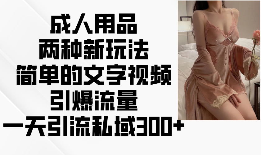 成人用品两种新玩法，简单的文字视频引爆流量，一天引流私域300+-温馨分享网