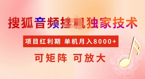 全网首发搜狐音频挂JI独家技术，项目红利期，可矩阵可放大，稳定月入8k【揭秘】-温馨分享网
