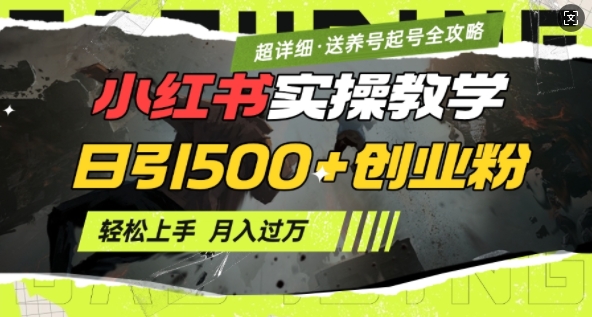 2月小红书最新日引500+创业粉实操教学【超详细】小白轻松上手，月入1W+，附小红书养号起号SOP-温馨分享网
