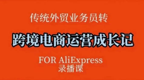 跨境电商速卖通运营课，​运营方法论+后台实操，逻辑清晰-温馨分享网