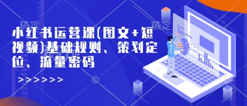 小红书运营课(图文+短视频)基础规则、策划定位、流量密码-温馨分享网