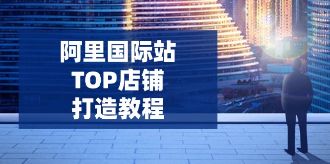 阿里国际站TOP店铺打造教程：涵盖平台到高阶，解决运营难题，提升询盘-温馨分享网
