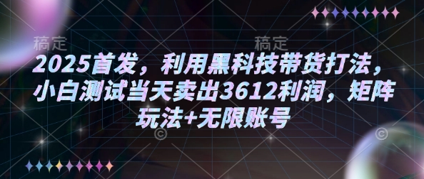 2025首发，利用黑科技带货打法，小白测试当天卖出3612利润，矩阵玩法+无限账号【揭秘】-温馨分享网
