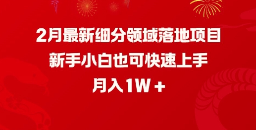 2月最新细分领域落地项目，新手小白也可快速上手，月入1W-温馨分享网