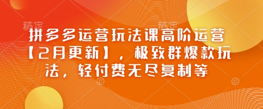 拼多多运营玩法课高阶运营【2月更新】，极致群爆款玩法，轻付费无尽复制等-温馨分享网