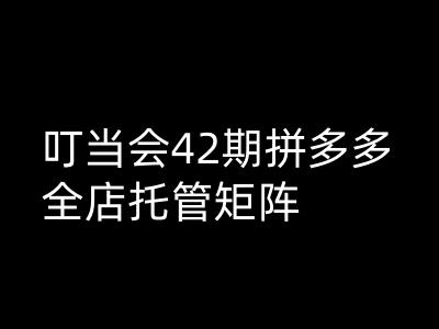 叮当会拼多多打爆班原创高阶技术第42期，拼多多全店托管矩阵-温馨分享网