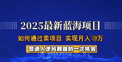 2025蓝海项目，普通人如何通过卖项目，实现月入过W，全过程【揭秘】-温馨分享网