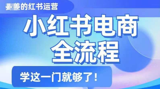 小红书电商全流程，精简易懂，从入门到精通，学这一门就够了-温馨分享网