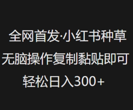 全网首发，小红书种草无脑操作，复制黏贴即可，轻松日入3张-温馨分享网