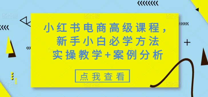 小红书电商高级课程，新手小白必学方法，实操教学+案例分析-温馨分享网