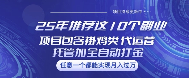 25年推荐这10个副业项目包含褂鸡类、代运营托管类、全自动打金类【揭秘】-温馨分享网
