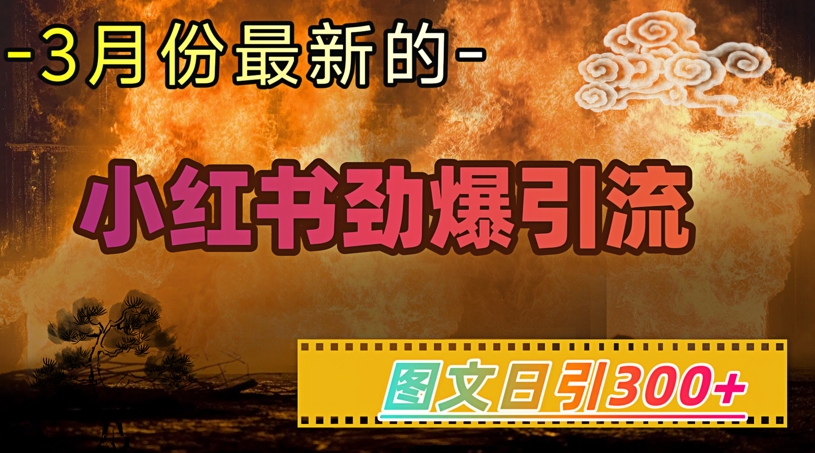 小红书超劲爆引流手段，图文日引300+轻松变现1W-温馨分享网
