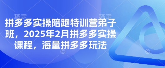 拼多多实操陪跑特训营弟子班，2025年2月拼多多实操课程，海量拼多多玩法-温馨分享网
