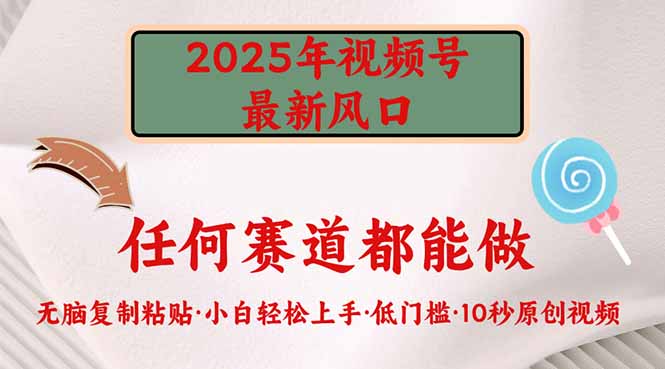 2025年视频号新风口，低门槛只需要无脑执行-温馨分享网