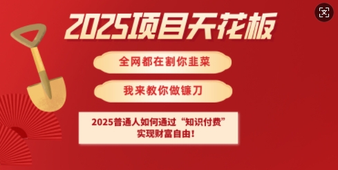 2025项目天花板普通人如何通过知识付费，实现财F自由【揭秘】-温馨分享网