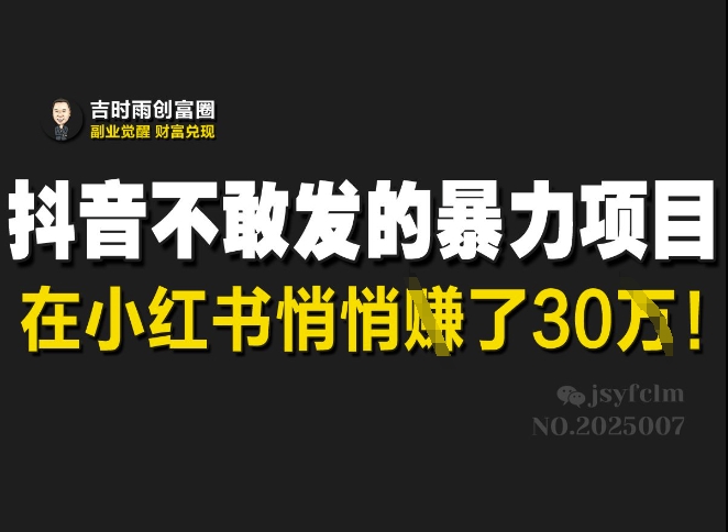 抖音不敢发的暴利项目，在小红书悄悄挣了30W-温馨分享网